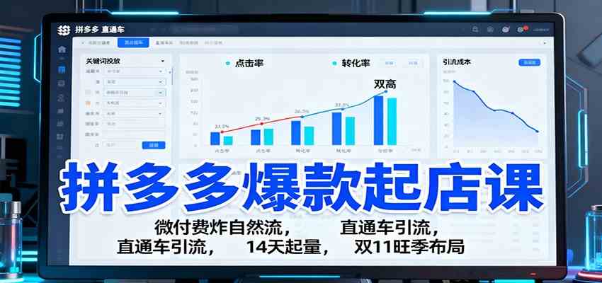 拼多多爆款起店课:微付费炸自然流,直通车引流,14天起量,双11旺季布局-宇文网创