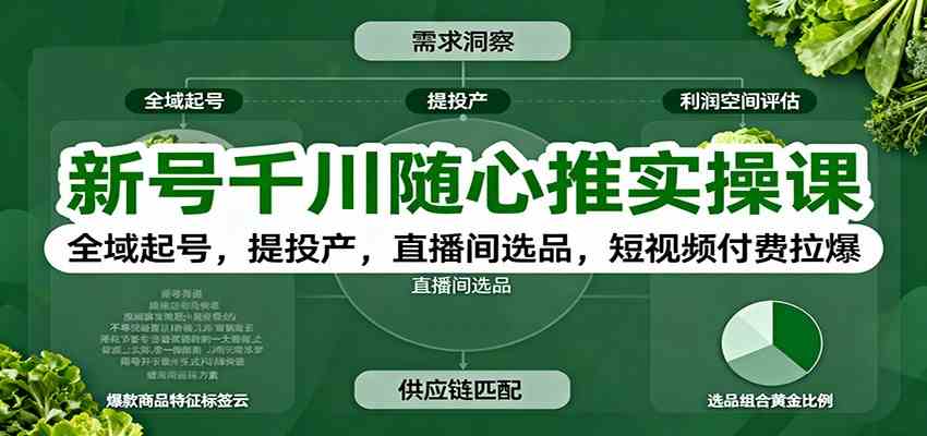 新号千川随心推实操课:全域起号,提投产,直播间选品,短视频付费拉爆-宇文网创
