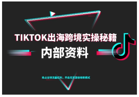TikTok跨境电商0-1搭建运营,TK出海跨境实操秘籍(10月更新)-宇文网创