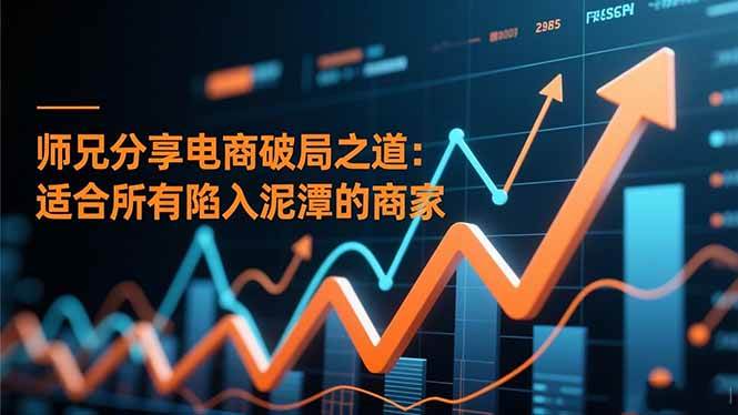 师兄分享电商破局之道:适合所有陷入泥潭的商家-宇文网创