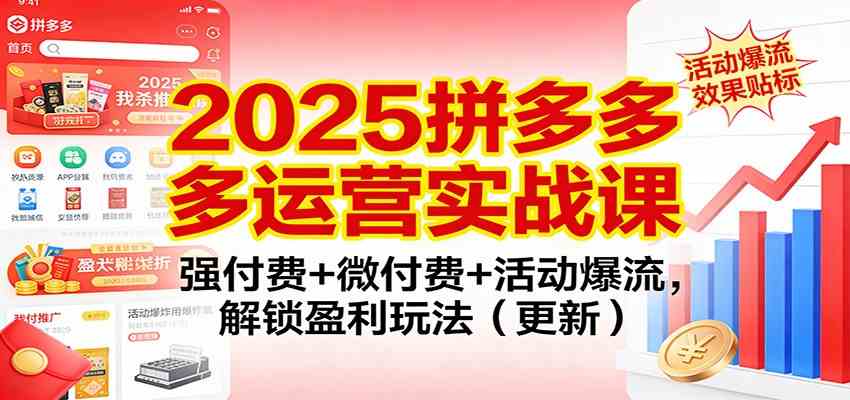 2025拼多多运营实战课:强付费+微付费+活动爆流,解锁盈利玩法(更新)-宇文网创