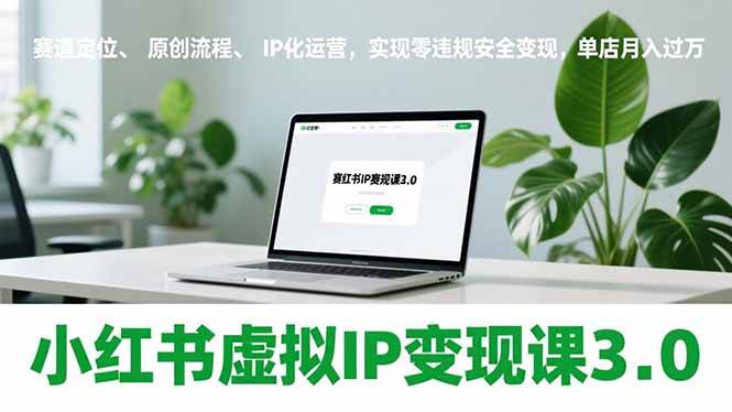小红书虚拟IP变现课3.0,赛道定位、原创流程、IP化运营,实现零违规安全变现,单店月入过万-宇文网创