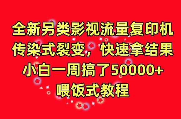 全新另类影视流量复印机，传染式裂变，快速拿结果，小白一周搞了50000+，喂饭式教程【揭秘】-宇文网创