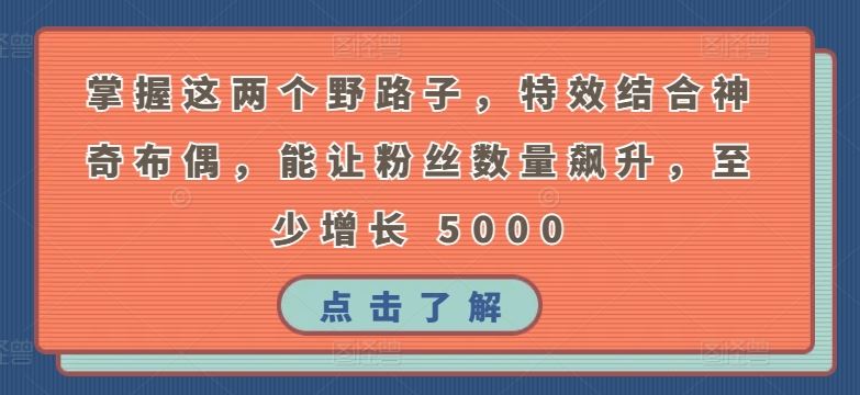 掌握这两个野路子，特效结合神奇布偶，能让粉丝数量飙升，至少增长 5000【揭秘】-宇文网创