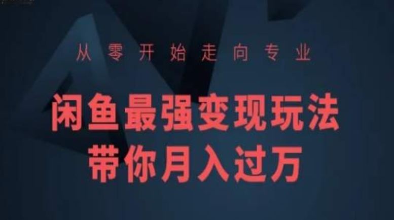 从零开始走向专业，闲鱼最强变现玩法带你月入过万-宇文网创