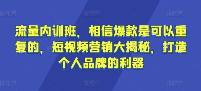 流量内训班，相信爆款是可以重复的，短视频营销大揭秘，打造个人品牌的利器-宇文网创