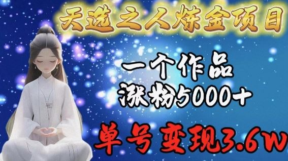 天选之人炼金项目，一个作品涨粉5000+，单号变现3.6w【揭秘】-宇文网创