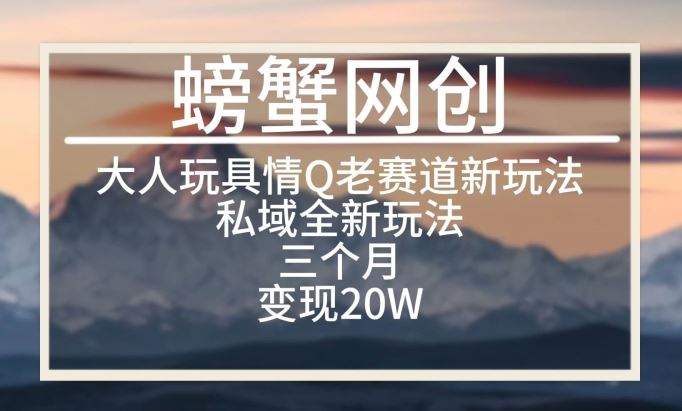 大人玩具情Q用品赛道私域全新玩法，三个月变现20W，老项目新思路【揭秘】-宇文网创