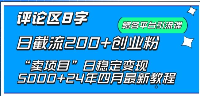 抖音评论区8字日截流200+创业粉 “卖项目”日稳定变现5000+【揭秘】-宇文网创