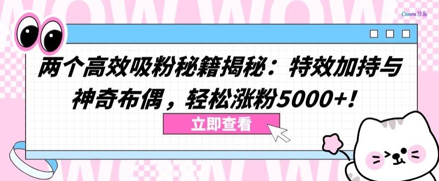 两个高效吸粉秘籍揭秘：特效加持与神奇布偶，轻松涨粉5000+【揭秘】-宇文网创