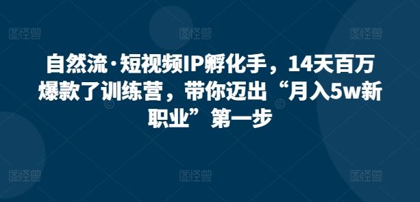 自然流·短视频IP孵化手，14天百万爆款了训练营，带你迈出“月入5w新职业”第一步-宇文网创