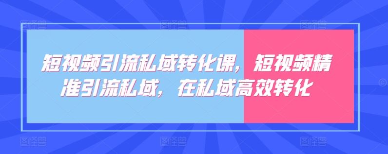 短视频引流私域转化课，短视频精准引流私域，在私域高效转化-宇文网创