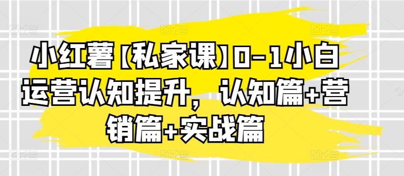 小红薯【私家课】0-1小白运营认知提升，认知篇+营销篇+实战篇-宇文网创