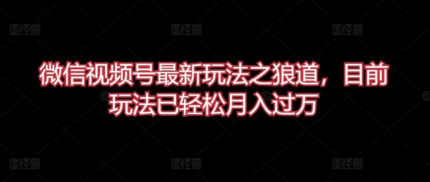 微信视频号最新玩法之狼道，目前玩法已轻松月入过万【揭秘】-宇文网创