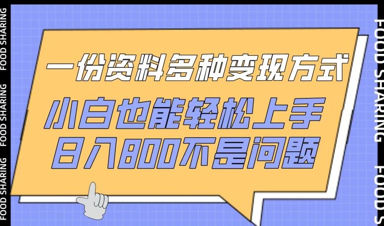 一份资料多种变现方式，小白也能轻松上手，日入800不是问题【揭秘】-宇文网创