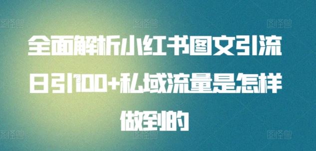 全面解析小红书图文引流日引100+私域流量是怎样做到的【揭秘】-宇文网创