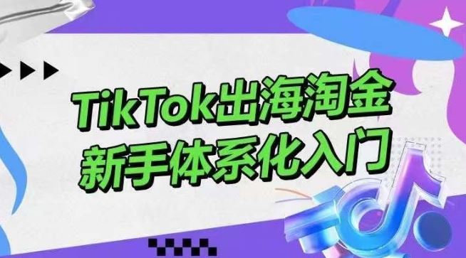 TikTok出海淘金，新手体系化入门，零基础快速入门，掌握短视频、直播带货等引流到变现的知识-宇文网创