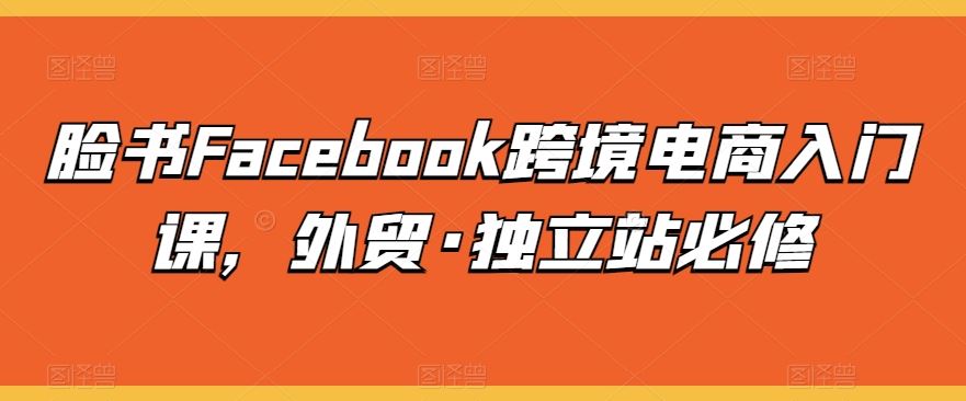 脸书Facebook跨境电商入门课，外贸·独立站必修-宇文网创