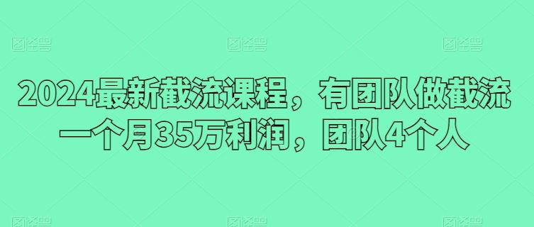 2024最新截流课程，有团队做截流一个月35万利润，团队4个人-宇文网创