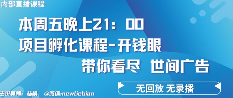 4.26日内部回放课程《项目孵化-开钱眼》赚钱的底层逻辑【揭秘】-宇文网创