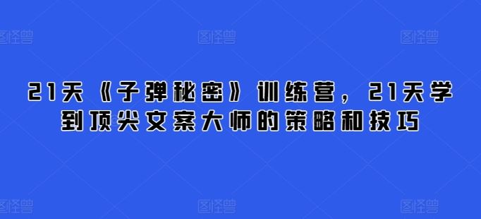 21天《子弹秘密》训练营，21天学到顶尖文案大师的策略和技巧-宇文网创