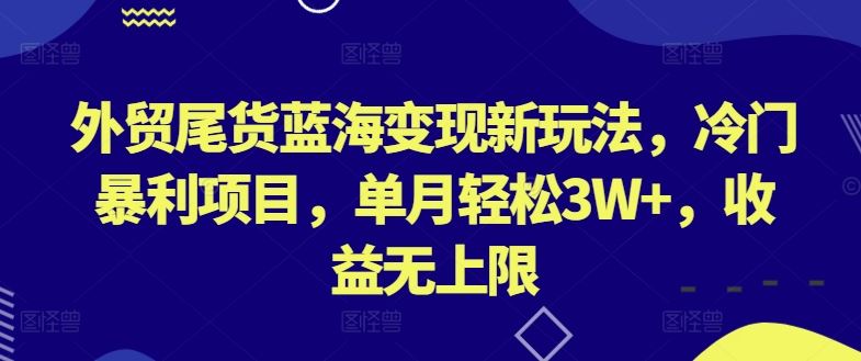 外贸尾货蓝海变现新玩法，冷门暴利项目，单月轻松3W+，收益无上限【揭秘】-宇文网创