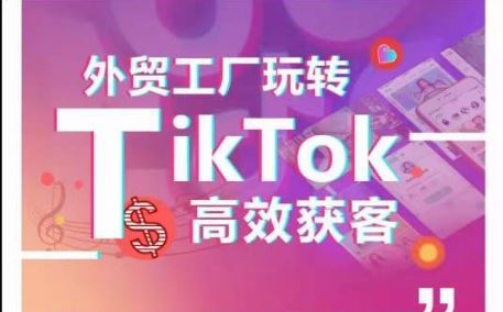 外贸工厂玩转TikTok高效获客，多种引流方式与账号定位技巧，拆解爆款短视频打造成功案例-宇文网创