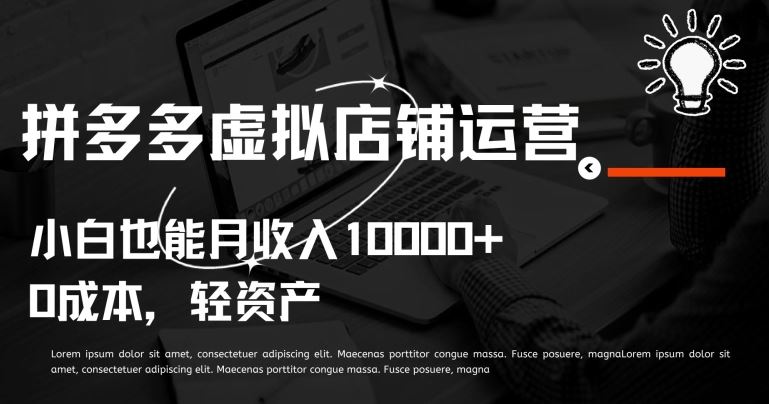 拼多多虚拟店铺运营小白也能月收入10000+【揭秘】-宇文网创