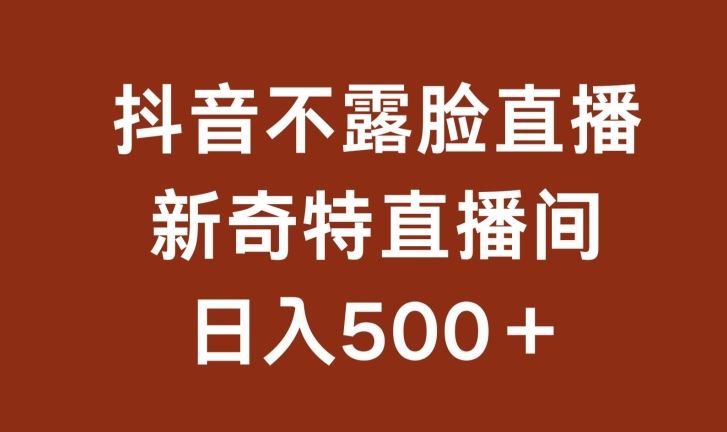 不露脸挂机直播，新奇特直播间，日入500+【揭秘】-宇文网创