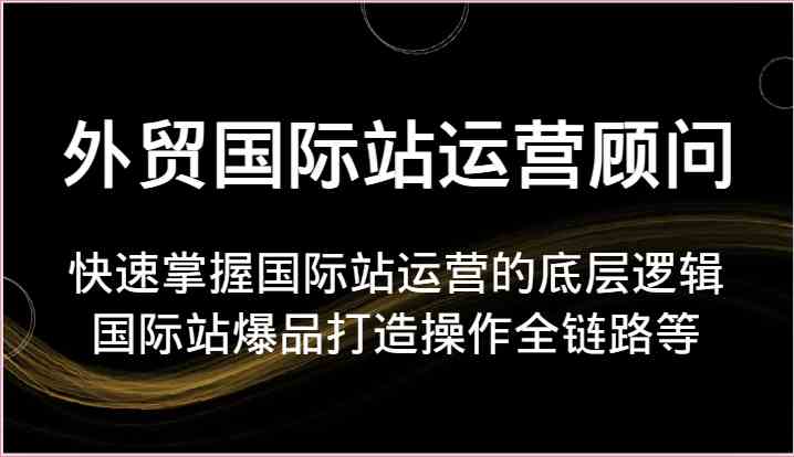 外贸国际站运营顾问-快速掌握国际站运营的底层逻辑，国际站爆品打造操作全链路等-宇文网创