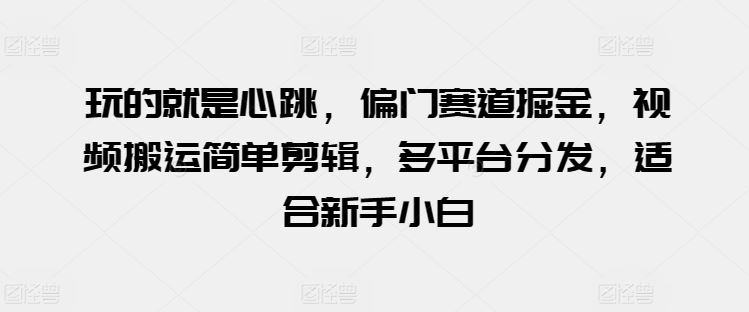 玩的就是心跳，偏门赛道掘金，视频搬运简单剪辑，多平台分发，适合新手小白【揭秘】-宇文网创