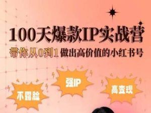 小红书100天爆款IP实战营，带你从0到1做出高价值的小红书号-宇文网创