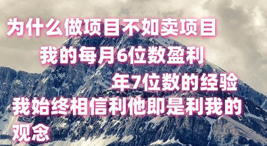 做项目不如卖项目，每月6位数盈利，年7位数经验-宇文网创