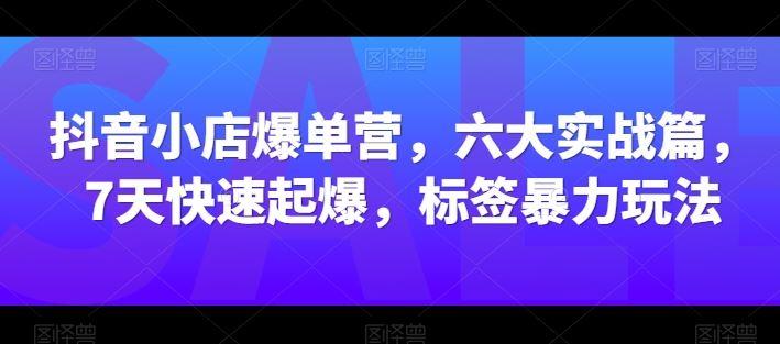 抖音小店爆单营，六大实战篇，7天快速起爆，标签暴力玩法-宇文网创