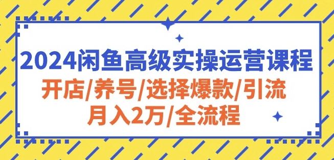 2024闲鱼高级实操运营课程：开店/养号/选择爆款/引流/月入2万/全流程-宇文网创