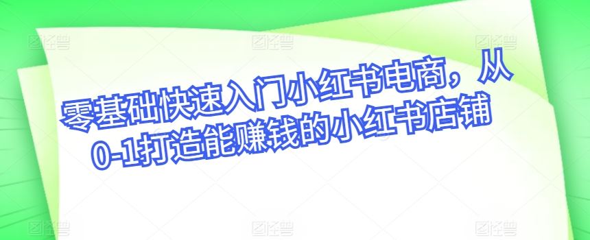 零基础快速入门小红书电商，从0-1打造能赚钱的小红书店铺-宇文网创