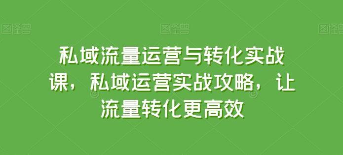 私域流量运营与转化实战课，私域运营实战攻略，让流量转化更高效-宇文网创