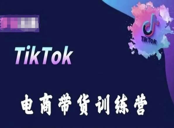 TikTok电商带货训练营，跟随时代潮流，跨境掘金-宇文网创