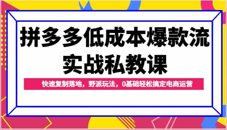 拼多多低成本爆款流实战私教课，快速复制落地，野派玩法，0基础轻松搞定电商运营-宇文网创