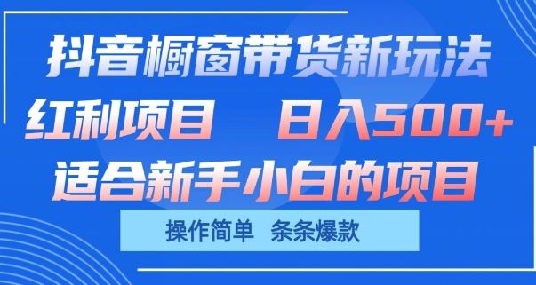 抖音橱窗带货新玩法，单日收益几张，操作简单，条条爆款【揭秘】-宇文网创