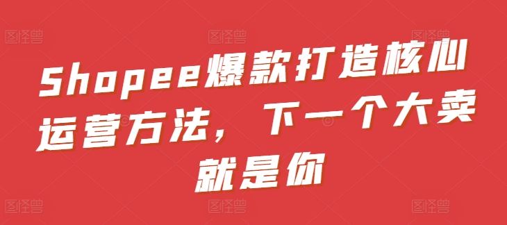 Shopee爆款打造核心运营方法，下一个大卖就是你-宇文网创