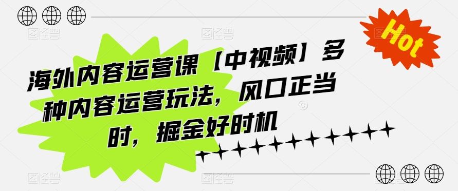 海外内容运营课【中视频】多种内容运营玩法，风口正当时，掘金好时机-宇文网创