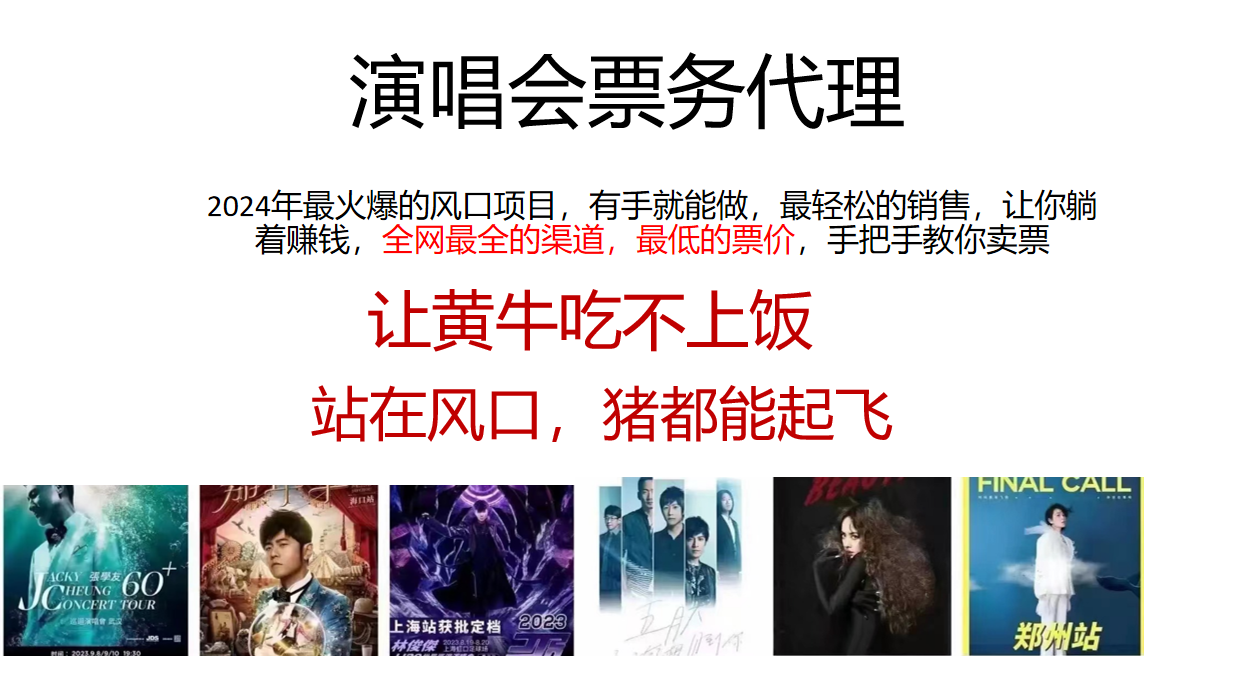 2024年最火爆风口项目，演唱会票务代理，日入2000+，一部手机就能搞定！-宇文网创