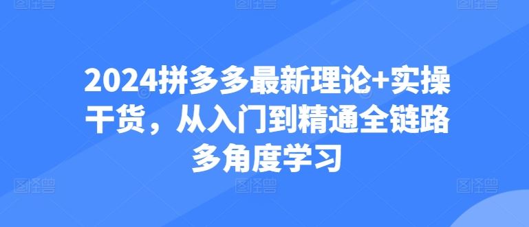 2024拼多多最新理论+实操干货，从入门到精通全链路多角度学习-宇文网创