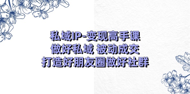 私域IP变现高手课：做好私域被动成交，打造好朋友圈做好社群（-宇文网创