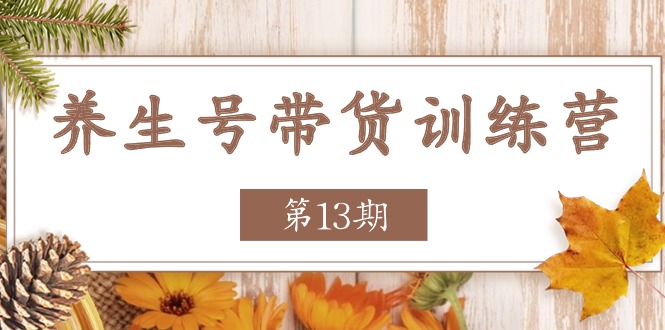 养生号带货训练营【第13期】收益更稳定的玩法，让你带货收益爆炸-宇文网创