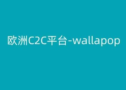 欧洲C2C平台-wallapop-kim跨境电商教程-宇文网创