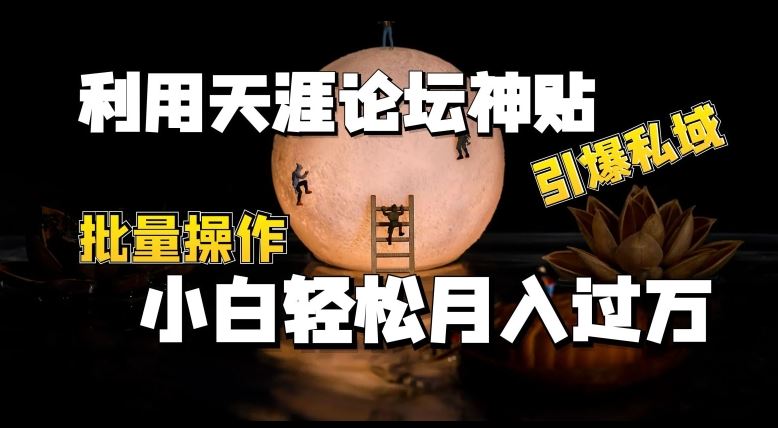 利用天涯论坛神贴，引爆私域，批量操作，小白轻松月入过w【揭秘】-宇文网创