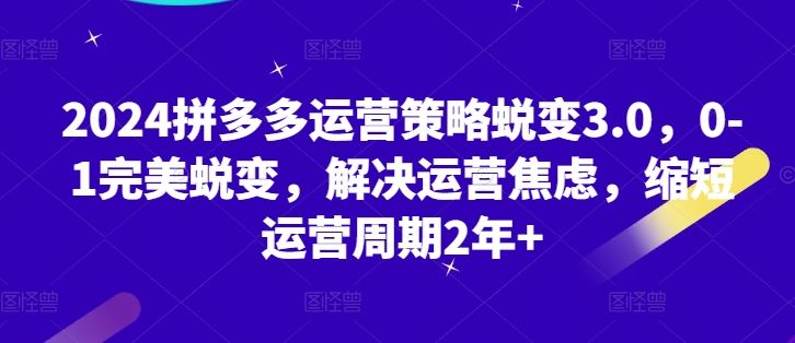 2024拼多多运营策略蜕变3.0，0-1完美蜕变，解决运营焦虑，缩短运营周期2年+-宇文网创