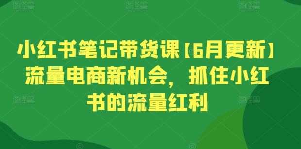 小红书笔记带货课【6月更新】流量电商新机会，抓住小红书的流量红利-宇文网创